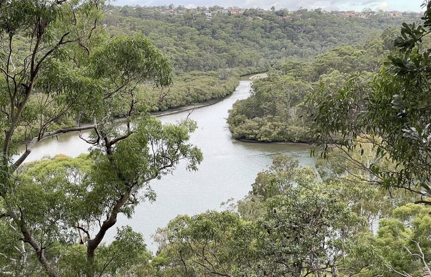 Sylvan Grove Native Garden, Picnic Point, Australia, Australia